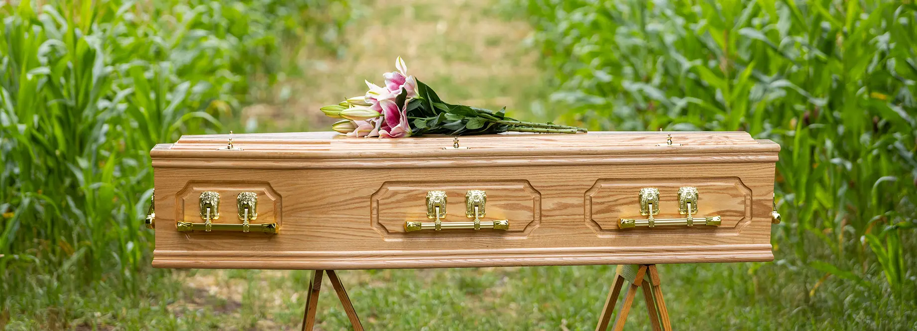 Bywater veneered coffin
